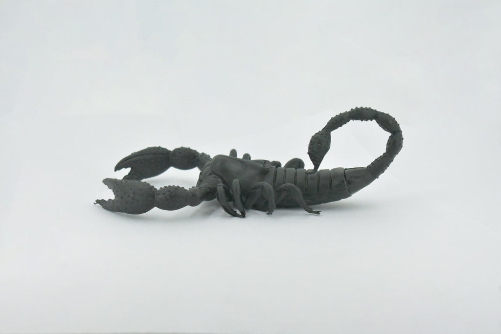Scorpion, Black, Solid Rubber, Arachnids, Realistic, Figure, Model, Replica, Toy, Kids, Educational, Gift,           7"        F1974 B210