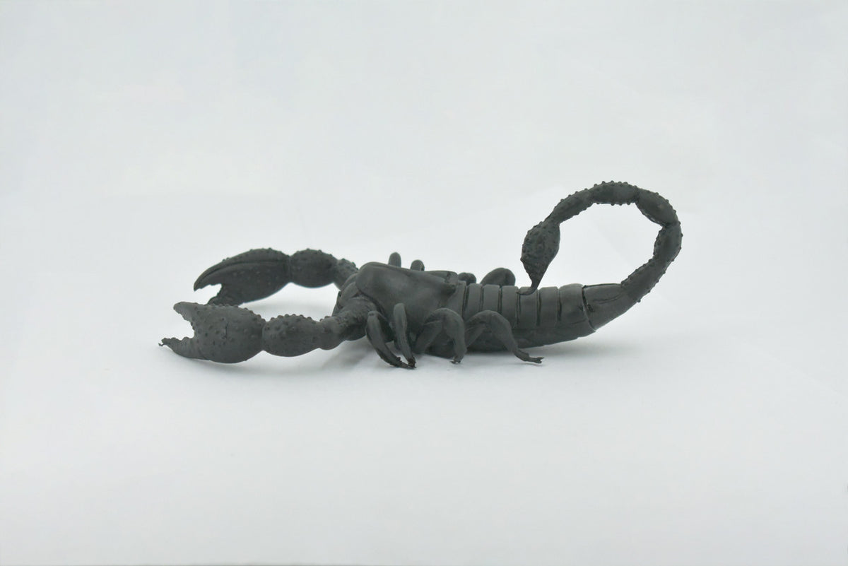 Scorpion, Black, Solid Rubber, Arachnids, Realistic, Figure, Model, Replica, Toy, Kids, Educational, Gift,           7"        F1974 B210