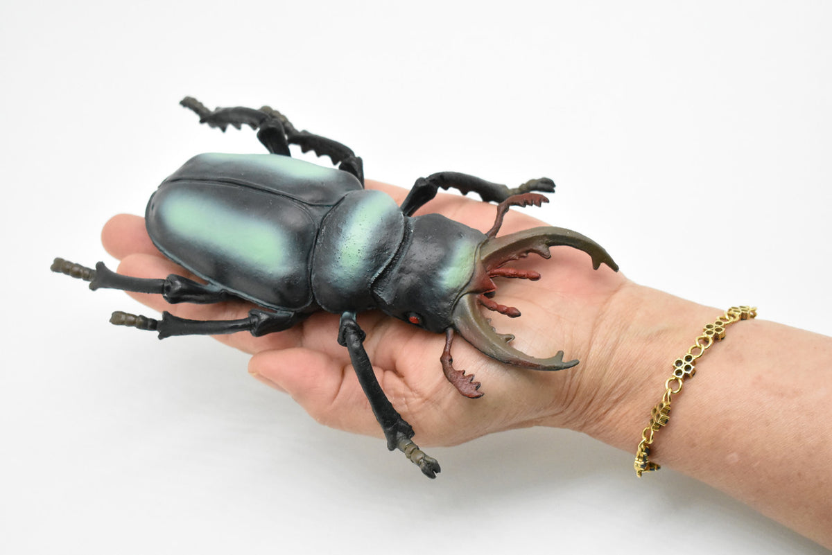 Stag Beetle, Lucanidae, Rubber Insect, Toy, Kids, Gift, Realistic Figure, Educational,  Model, Replica, Gift
