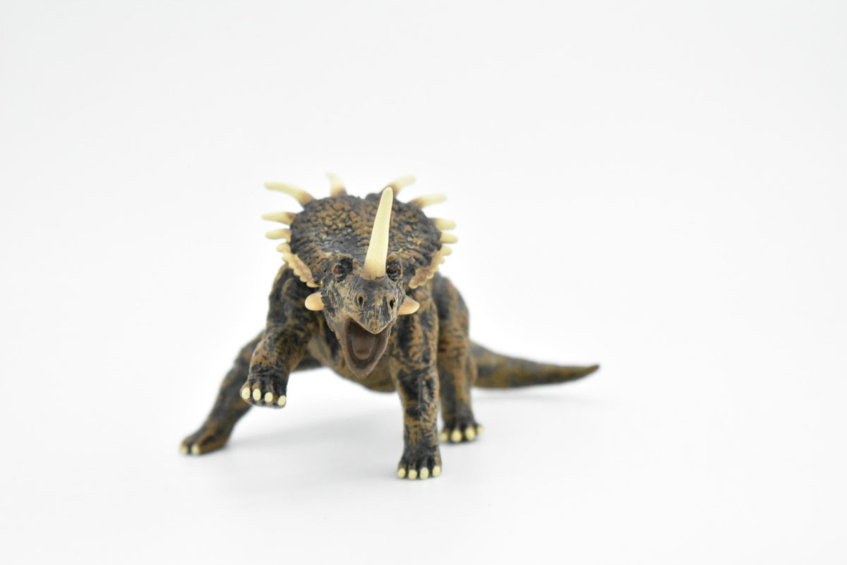 Styracosaurus Dinosaur,  Museum Quality Plastic Replica, Hand Painted Figurines      4"W x 2.5"H     F8001 B115