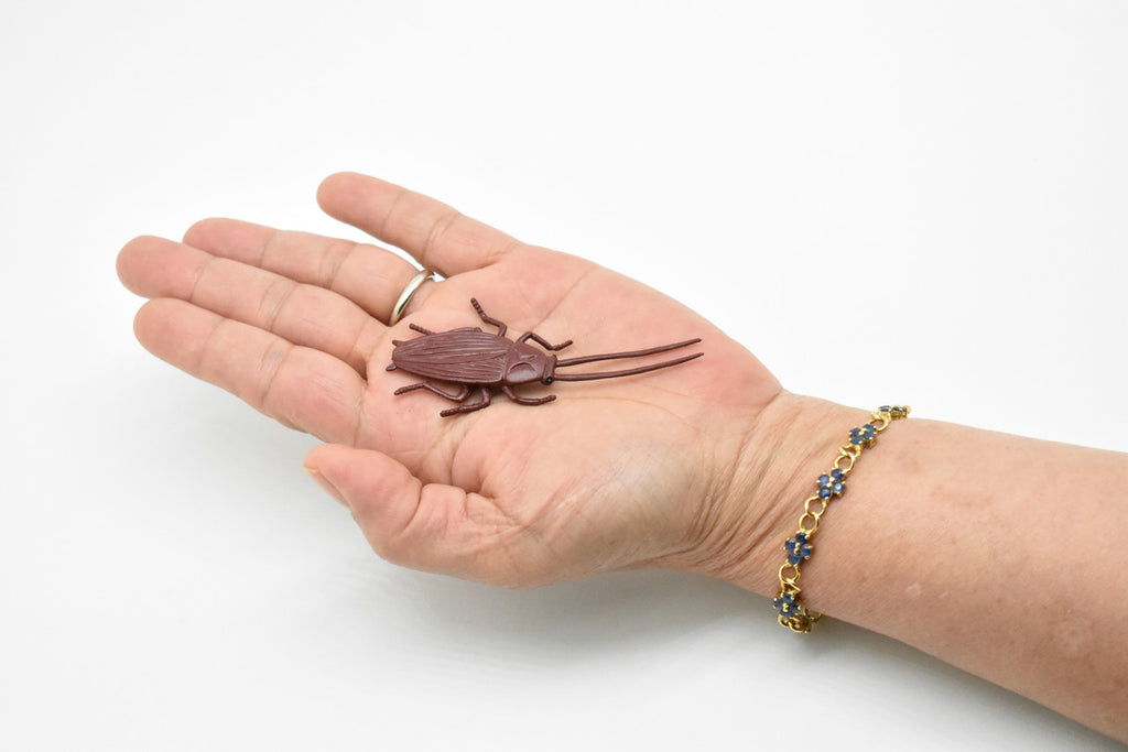 Cockroach, Rubber Toy Insect, Realistic Figure, Model, Replica, Kids Educational Gift,     3  inches long     F1652 B74
