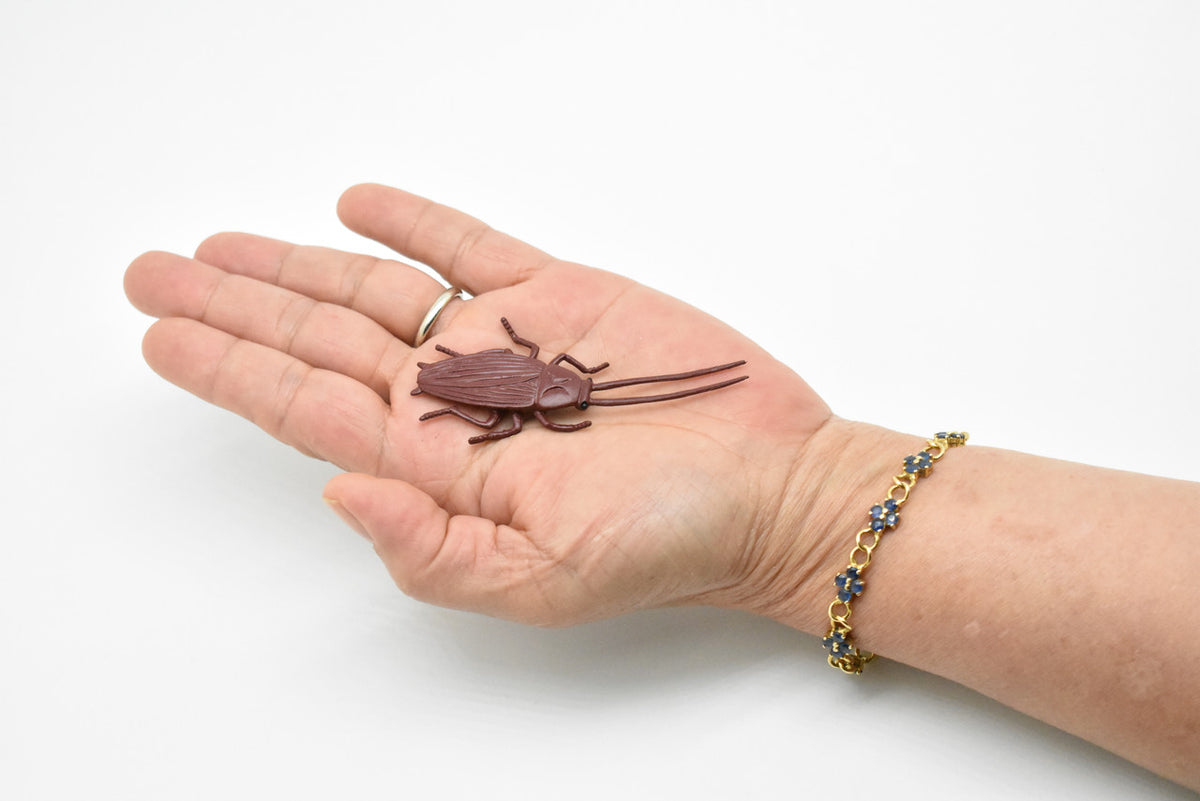 Cockroach, Rubber Toy Insect, Realistic Figure, Model, Replica, Kids Educational Gift,     3  inches long     F1652 B74