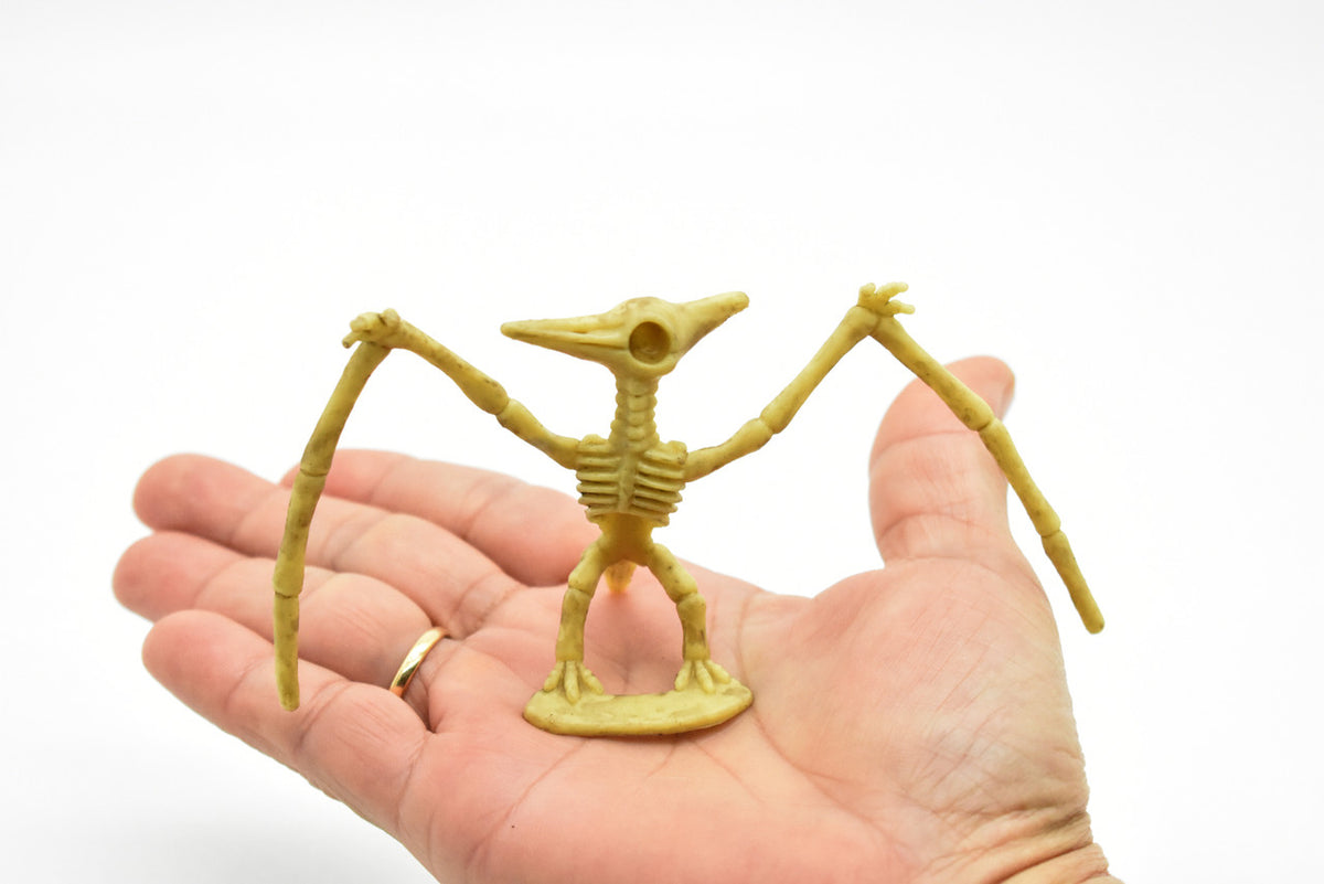 Pteranodon Dinosaur, Skeleton, Very Nice Plastic Replica    4"    F3285 B61