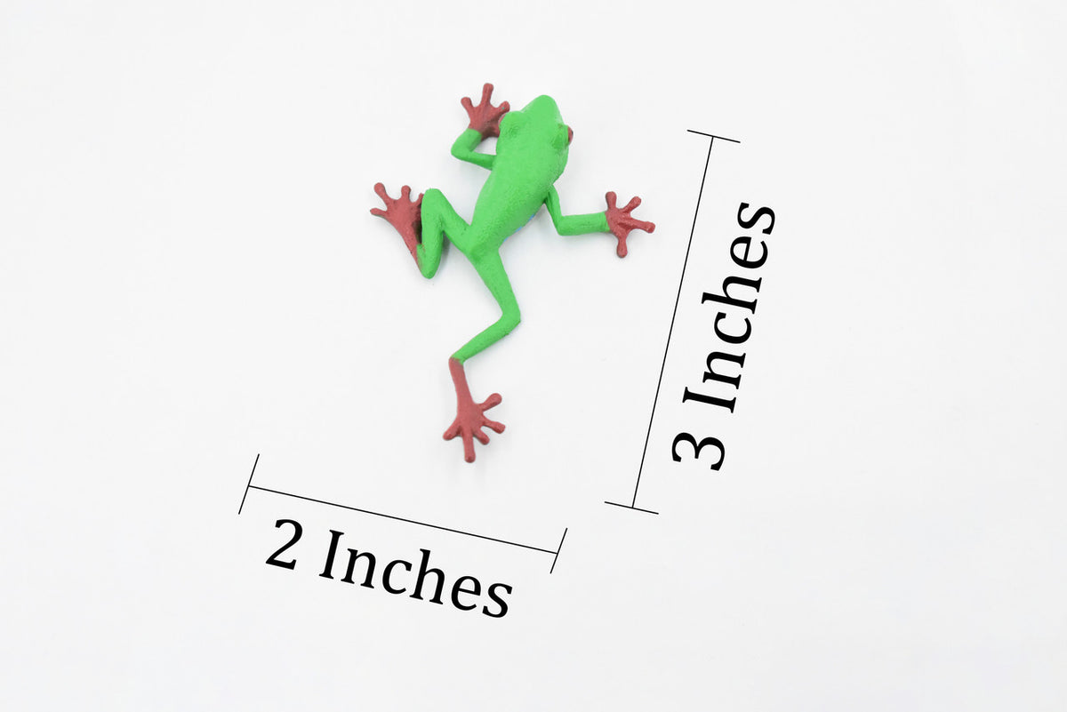Red-Eyed Tree Frog, Hand Painted, Amphibian, Hard Rubber, Realistic Frog, Figure, Model, Replica, Toy, Kids, Educational, Gift,    3"  