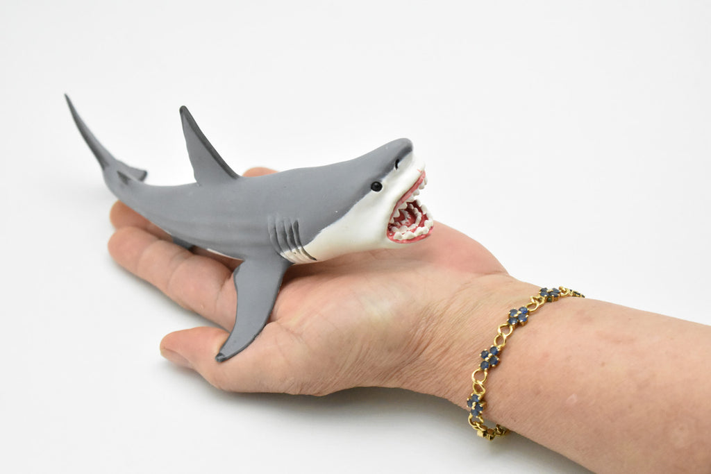 Megalodon, Giant Shark, Museum Quality Plastic Reproduction    7"   F3632 B209