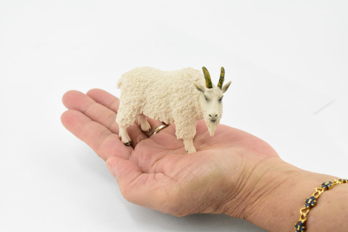 Mountain Goat, Rocky Mountain goat, Museum Quality, Hand Painted, Rubber Animal, Toy, Figure, Model, Kids, Educational,  4 Inches. 