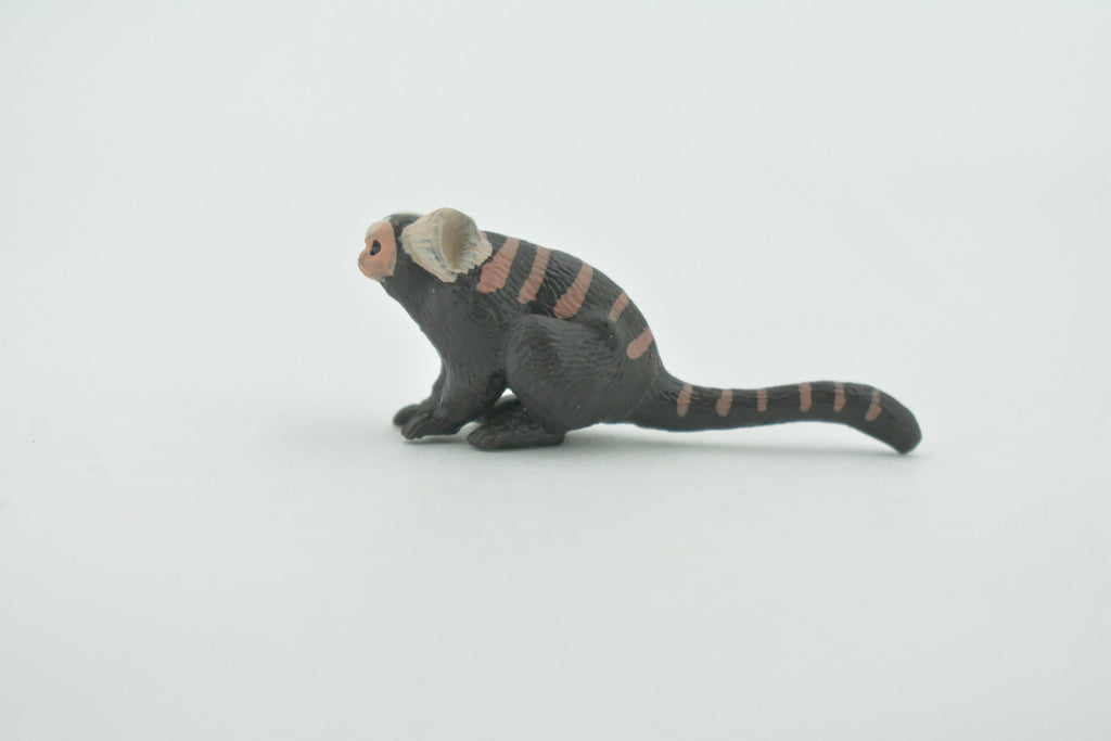 Monkey, Marmoset, Zaris, Sagoin, Primates, High Quality, Hand Painted, Rubber, Realistic, Figure, Model, Replica, Toy, Kids, Educational, Gift,    2"      CH650 BB169