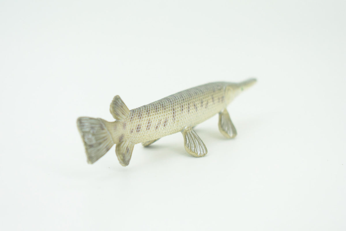 Alligator Gar, Gator Gar, Alligator Pike, Gar Pike, Hand Painted, Educational, Rubber Fish, Realistic Figure, Lifelike, Gift,    3 1/2"    SF39 B15