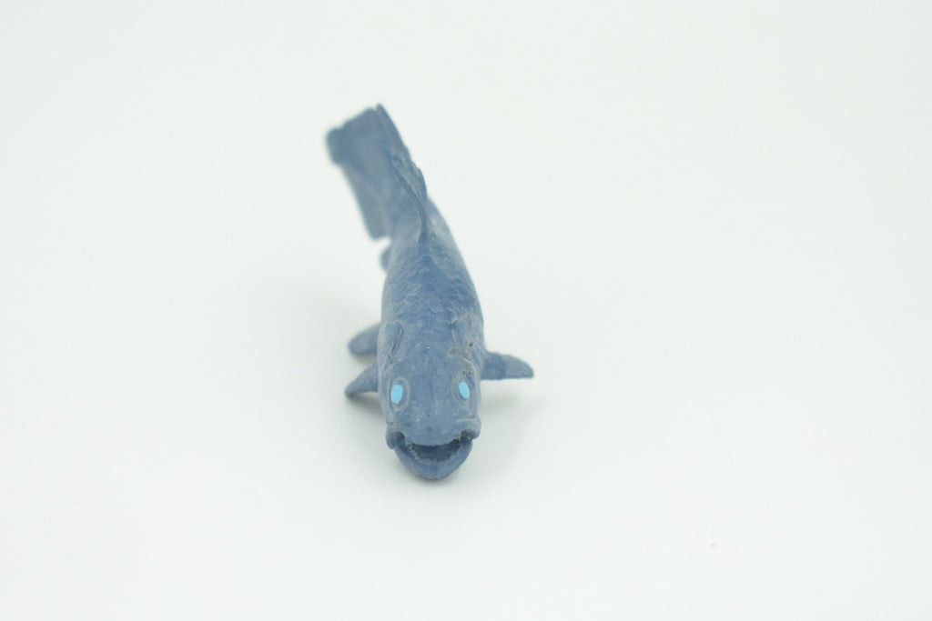 Coelacanth, Fish, Saltwater Fish, Rubber Fish, Hand Painted, Realistic, Figure, Model, Replica, Toy, Kids, Educational, Gift,     3"    F4233 B376