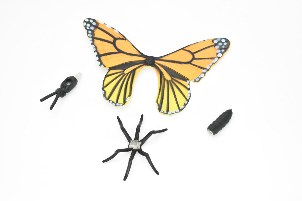 Butterfly, 3D Puzzle,  Plastic Toy Animal, Kids Gift, Realistic Figure, Educational Model, Replica,  5"      F3023 B332