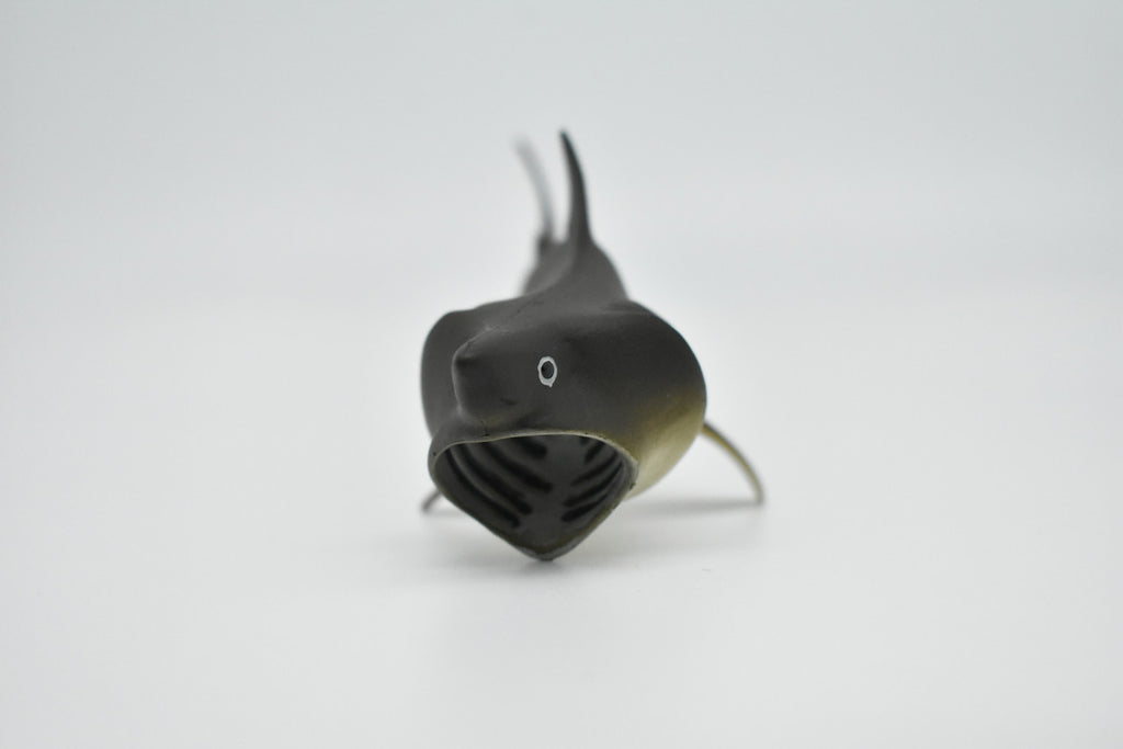 Basking Shark, Museum Quality Plastic Replica, Hand Painted   5 1/2 inches long   -   F1773 B97