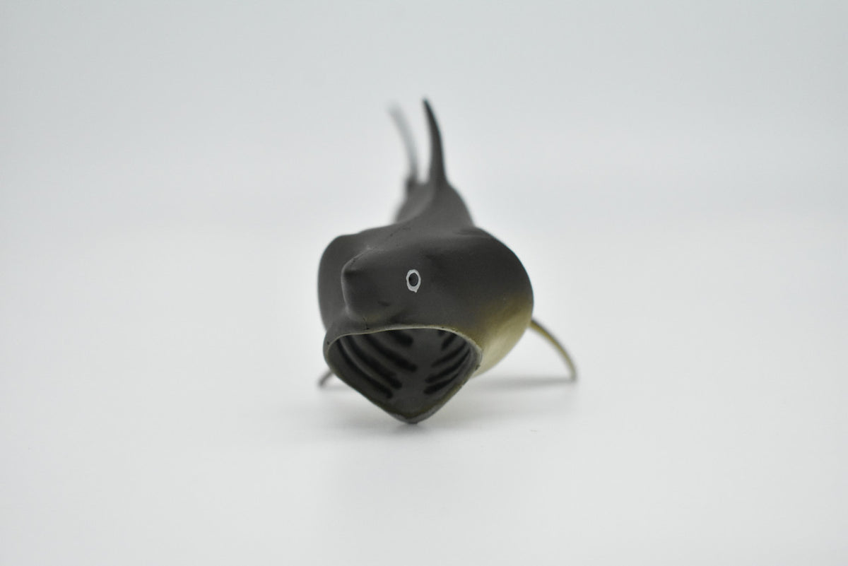 Basking Shark, Museum Quality Plastic Replica, Hand Painted   5 1/2 inches long   -   F1773 B97
