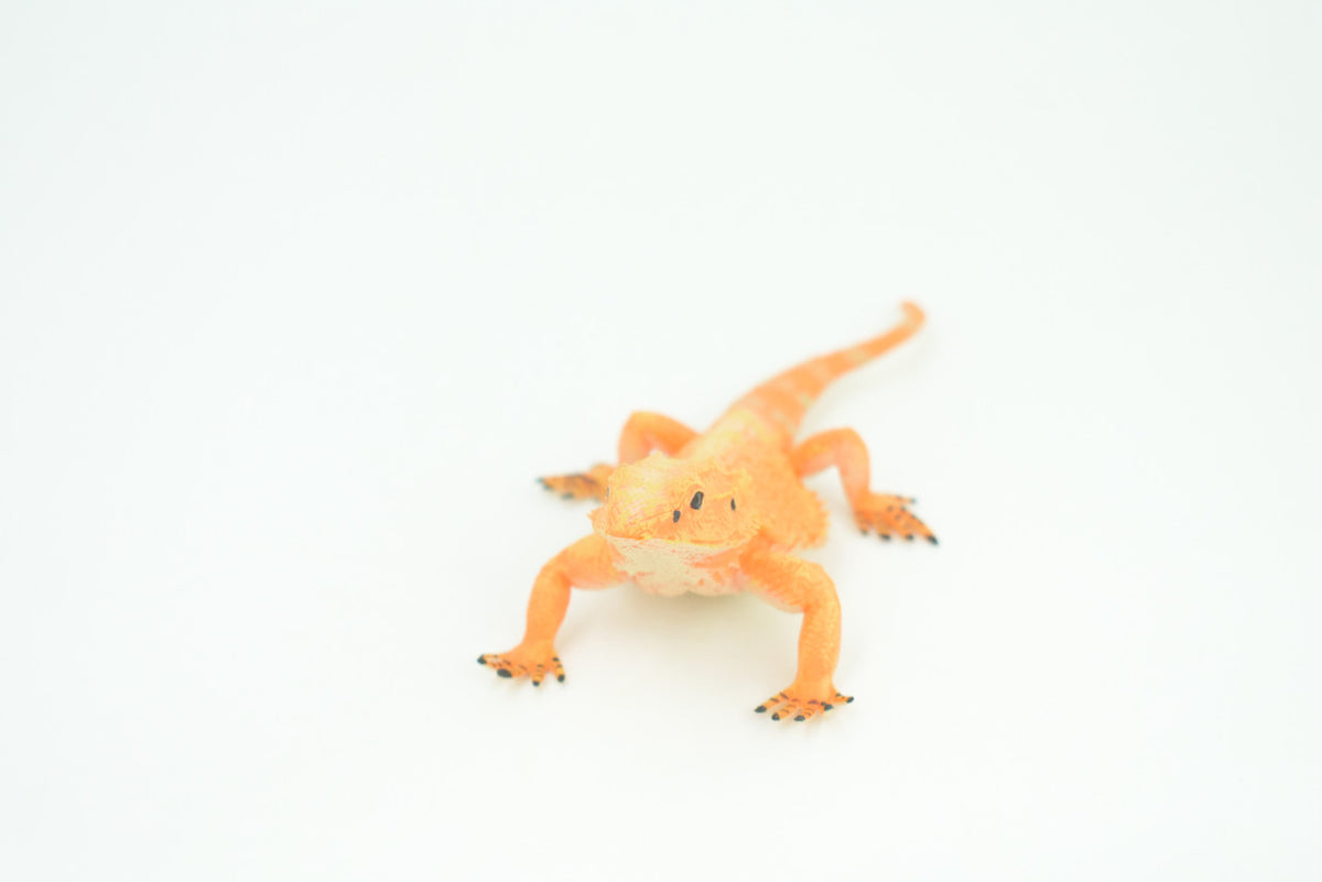 Horny Toad, Horned Lizard, Museum Quality, Educational, Hand Painted, Rubber Reptile, Diorama, Toy, Kids, Gift,  5 Inches.  CH753 BB183