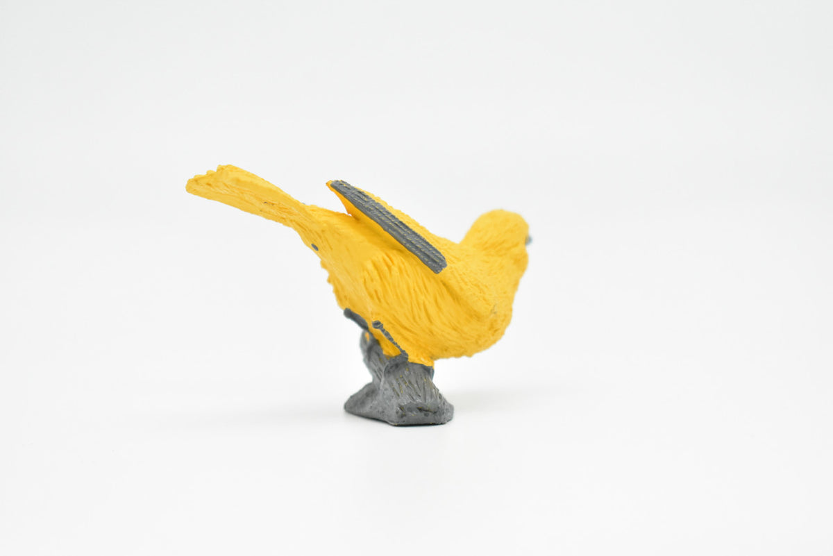 Yellow Warbler, Very Nice Rubber Bird, Educational, Realistic, Hand Painted, Figure, Lifelike Model, Figurine, Replica, Gift,    2 1/2"     F3389 B27