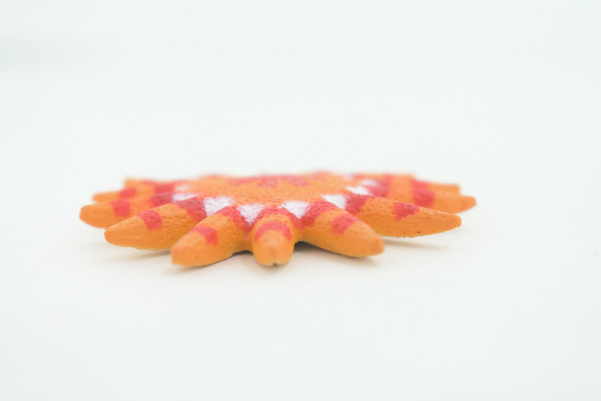 Starfish, Sunflower Sea Star, Echinoderms, Asteroidea, Ocean, Sea Life, Plastic Figure, Model, Realistic Replica, Educational Toy, Life Like, Gift,      2"     F932 B158