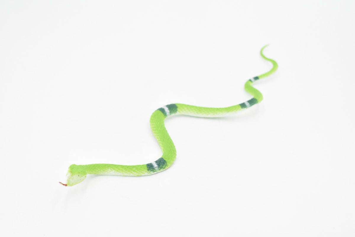 Snake, Green, Emerald Boa, Rubber Reptile, Educational, Realistic Hand Painted, Figure, Lifelike Model, Figurine, Replica, Gift,     11"     F1735 B222