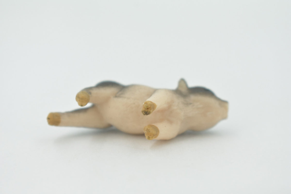 Pig, Piglet, Baby, High Quality, Hand Painted, Rubber, Swine Family, Realistic, Toy Figure, Model, Replica, Kids, Educational, Gift,       1 1/2"       CH549 BB159