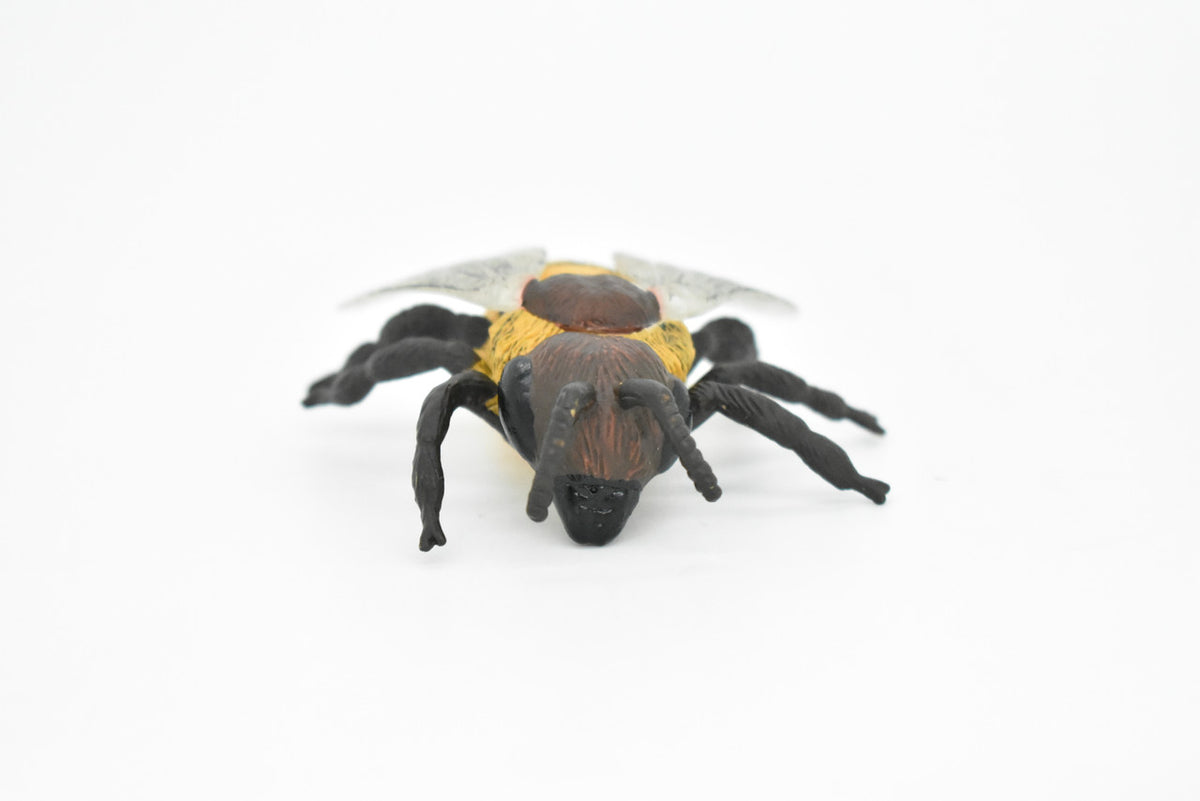 Bee, Bumblebee, Hornet, Yellowjacket, Museum Quality, Rubber Insect, Hand Painted, Realistic Toy Figure, Diorama Model, Kids, Educational,  3 Inches.