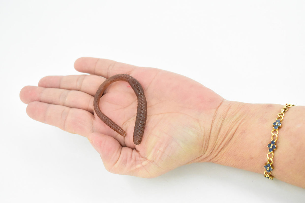 Worm, Earthworm, Rubbery, Toy, Kids Gift, Realistic Figure, Educational Model, Replica, Gift,     5 1/2 inches long       F3396 B38