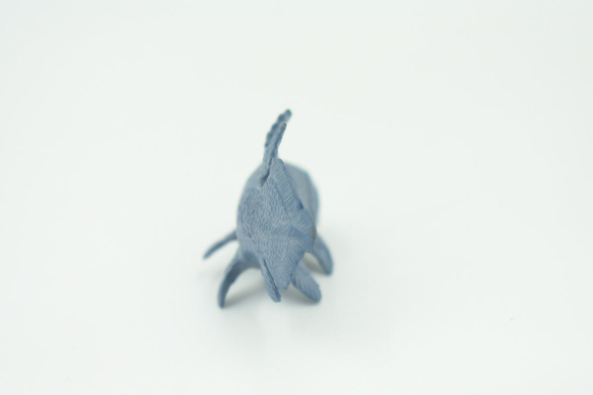 Coelacanth, Fish, Saltwater Fish, Rubber Fish, Hand Painted, Realistic, Figure, Model, Replica, Toy, Kids, Educational, Gift,     3"    F4233 B376