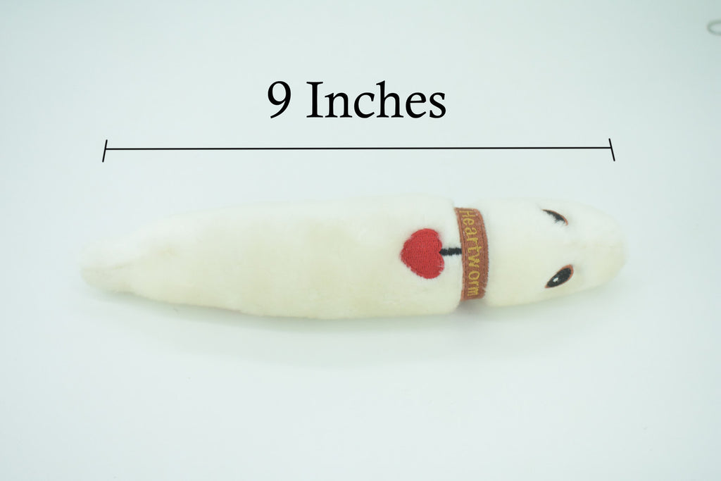 Heartworm, Dirofilariasis are long, thin parasitic roundworms, Plush Design, Educational, Figure, Replica, Gift,   9"  F1563 B102