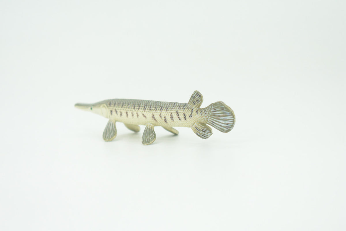 Alligator Gar, Gator Gar, Alligator Pike, Gar Pike, Hand Painted, Educational, Rubber Fish, Realistic Figure, Lifelike, Gift,    3 1/2"    SF39 B15