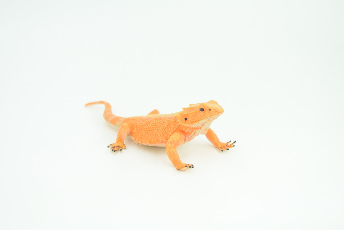 Horny Toad, Horned Lizard, Museum Quality, Educational, Hand Painted, Rubber Reptile, Diorama, Toy, Kids, Gift,  5 Inches.  CH753 BB183