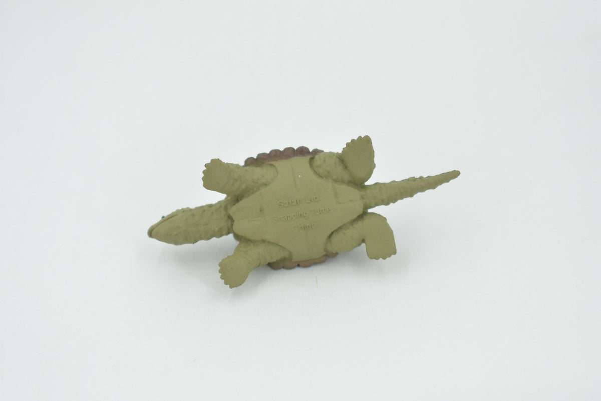 Alligator Snapping Turtle, Plastic Reptile, Educational, Realistic, Figure, Lifelike Model, Figurine, Replica, Toys, Kids, Gift,    2 1/2 Inches.   F9000 B48