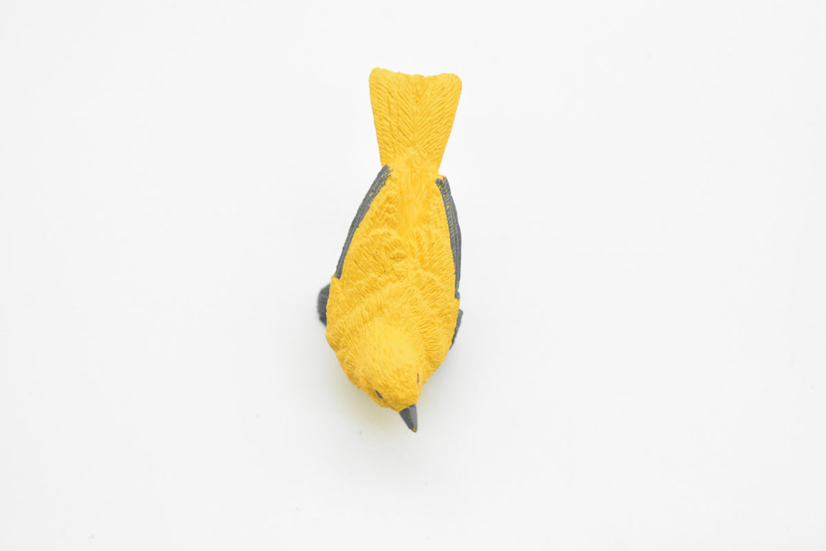 Yellow Warbler, Very Nice Rubber Bird, Educational, Realistic, Hand Painted, Figure, Lifelike Model, Figurine, Replica, Gift,    2 1/2"     F3389 B27