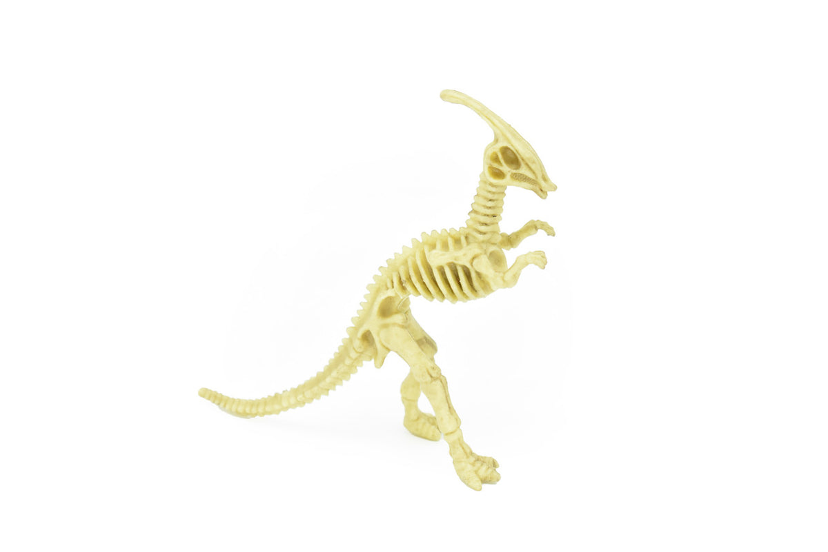 Parasaurolophus Dinosaur, Skeleton, Very Nice Plastic Replica    6"     F3283 B61