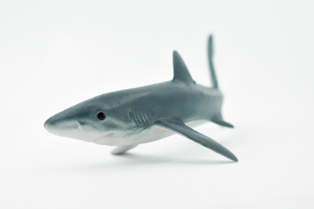 Blue Shark, Blue pointer, Museum Quality, Hand Painted, Educational, Rubber Fish, Diorama Model, Replica, Realistic Toy Figure, Kids,  6 Inches.