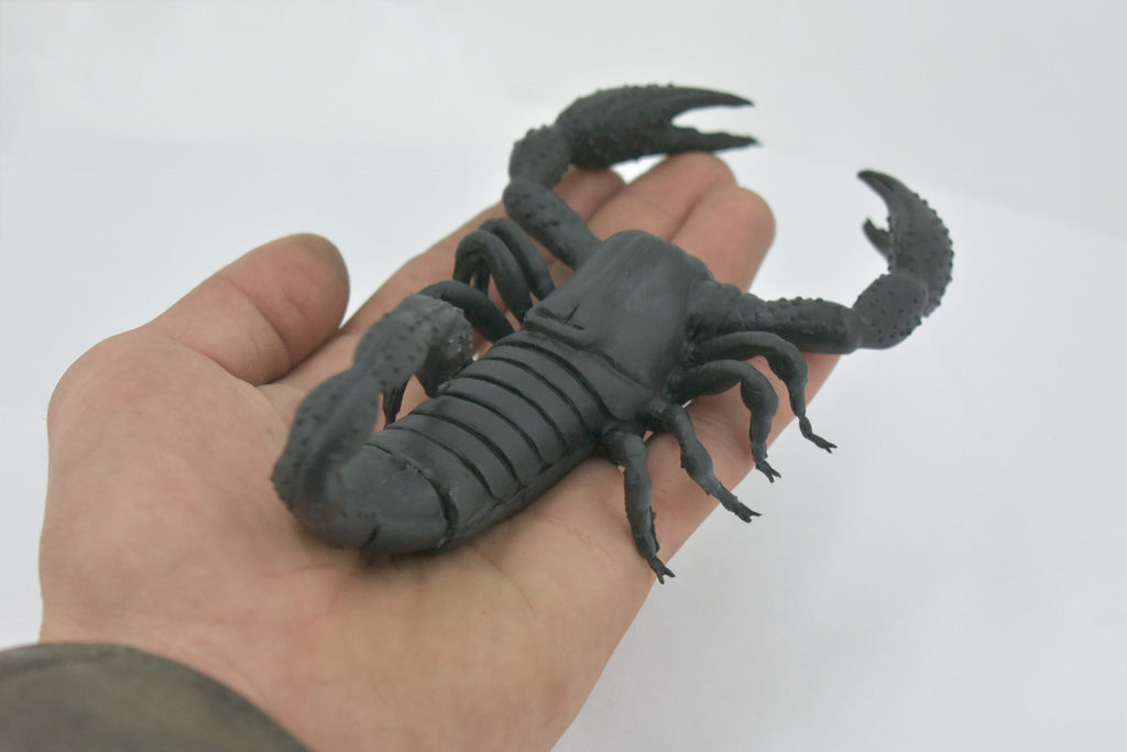 Scorpion, Black, Solid Rubber, Arachnids, Realistic, Figure, Model, Replica, Toy, Kids, Educational, Gift,           7"        F1974 B210