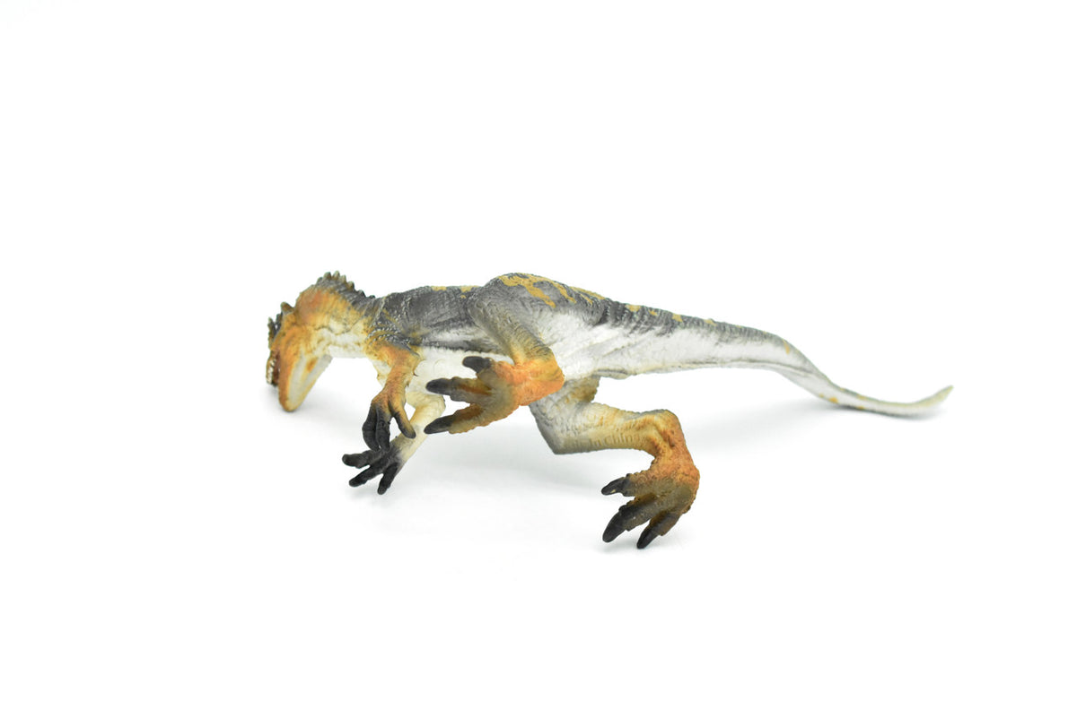Allosaurus Dinosaur, Museum Quality Plastic Replica    8"    M003-B628