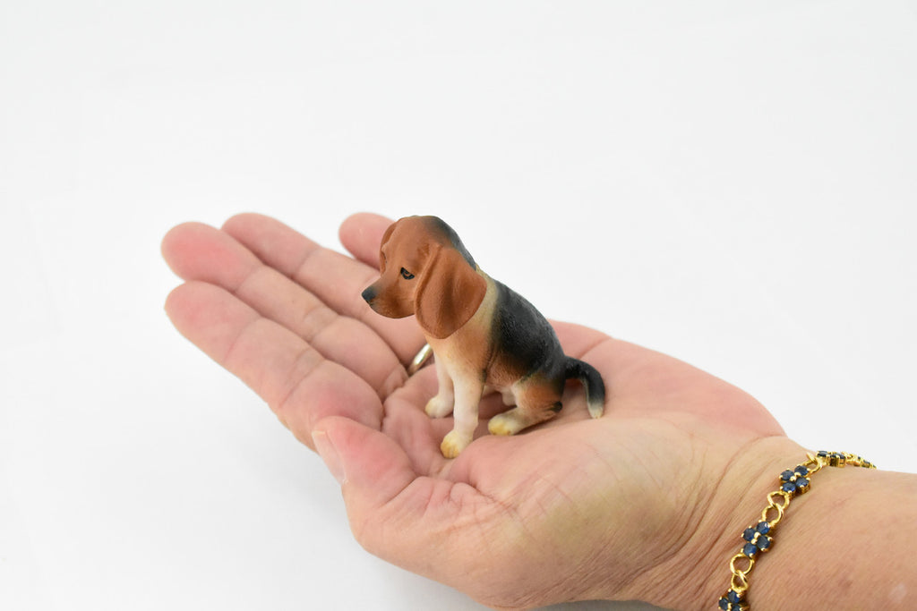 Beagle, Hound Dog, Rubber Canine, Hand Painted, Realistic Toy Figure, Model, Replica, Kids, Educational, Gift,      3"     CH230 BB119