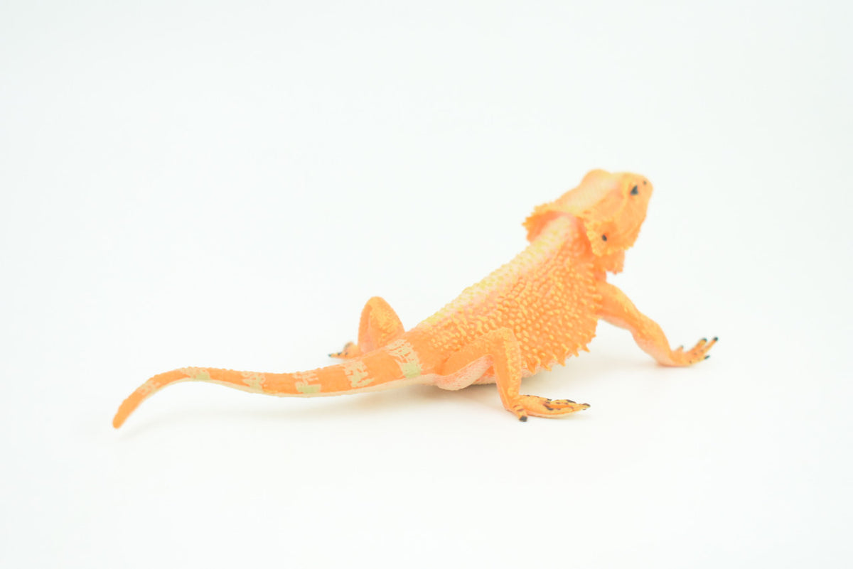 Horny Toad, Horned Lizard, Museum Quality, Educational, Hand Painted, Rubber Reptile, Diorama, Toy, Kids, Gift,  5 Inches.  CH753 BB183