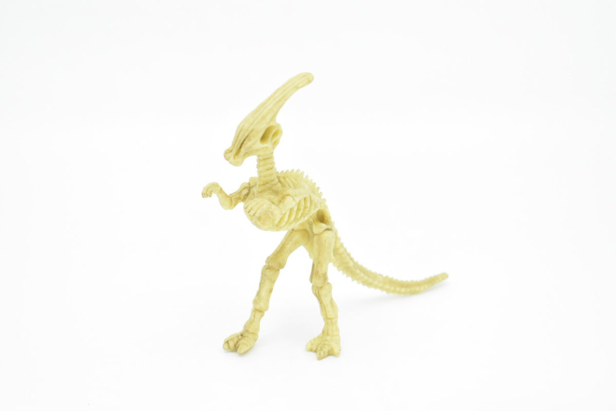 Parasaurolophus Dinosaur, Skeleton, Very Nice Plastic Replica    6"     F3283 B61