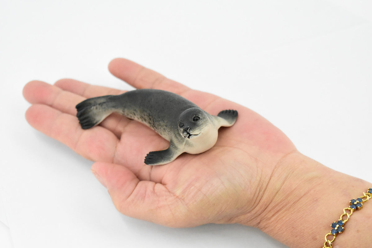 Fur Seal, Pinnipeds, Marine Mammal, Museum Quality, Hand Painted, Educational, Rubber Fish, Diorama Model, Replica, Realistic Toy Figure, Kids,  4 Inches.