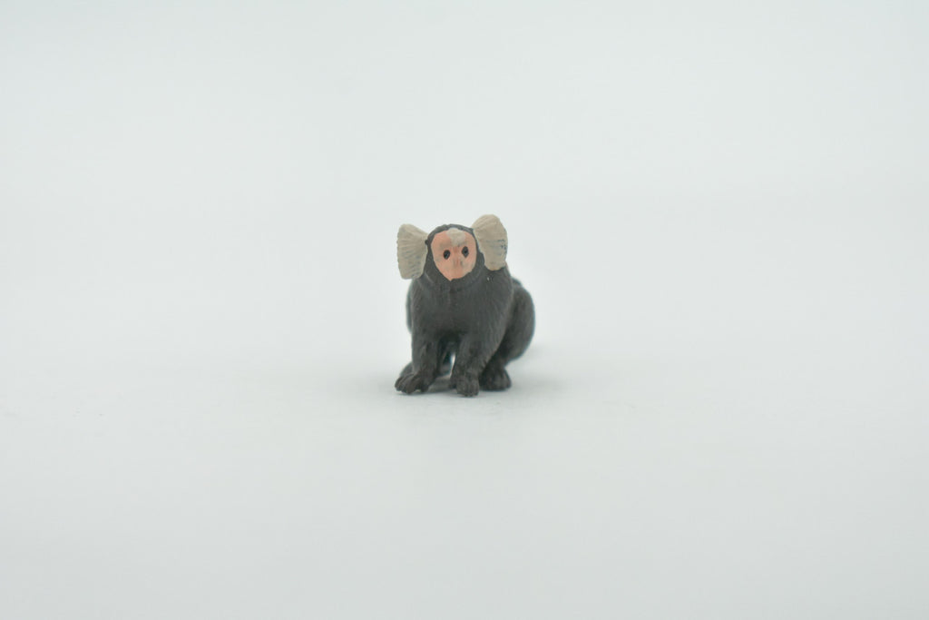 Monkey, Marmoset, Zaris, Sagoin, Primates, High Quality, Hand Painted, Rubber, Realistic, Figure, Model, Replica, Toy, Kids, Educational, Gift,    2"      CH650 BB169