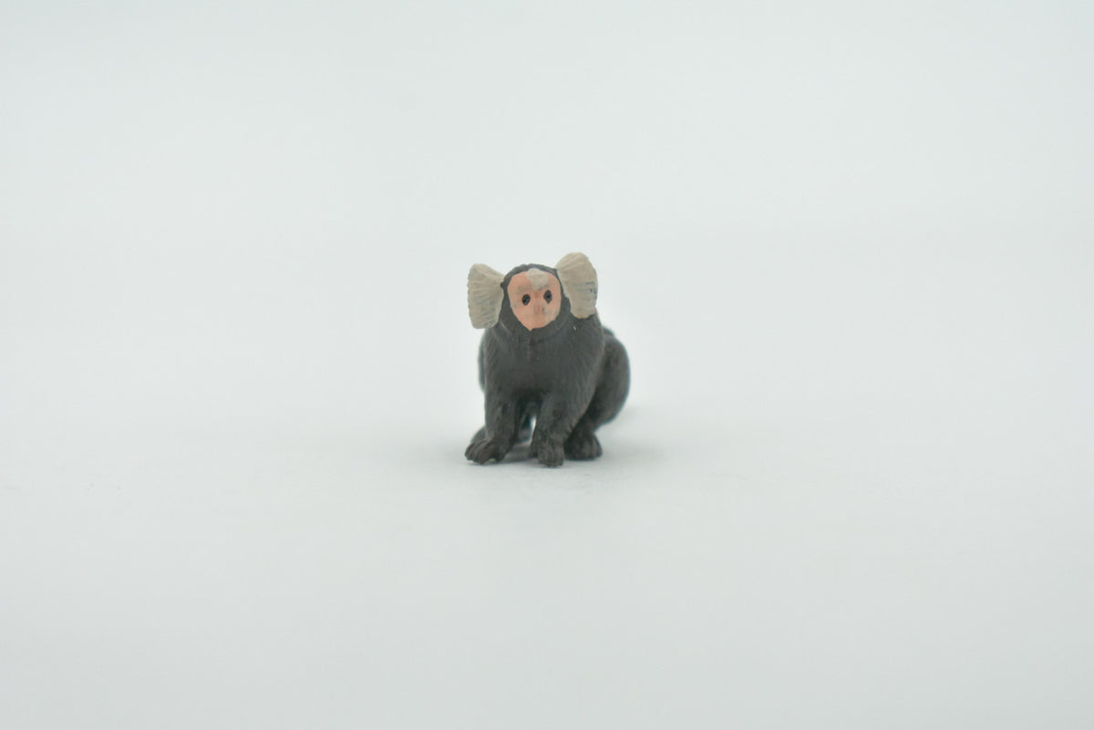 Monkey, Marmoset, Zaris, Sagoin, Primates, High Quality, Hand Painted, Rubber, Realistic, Figure, Model, Replica, Toy, Kids, Educational, Gift,    2"      CH650 BB169