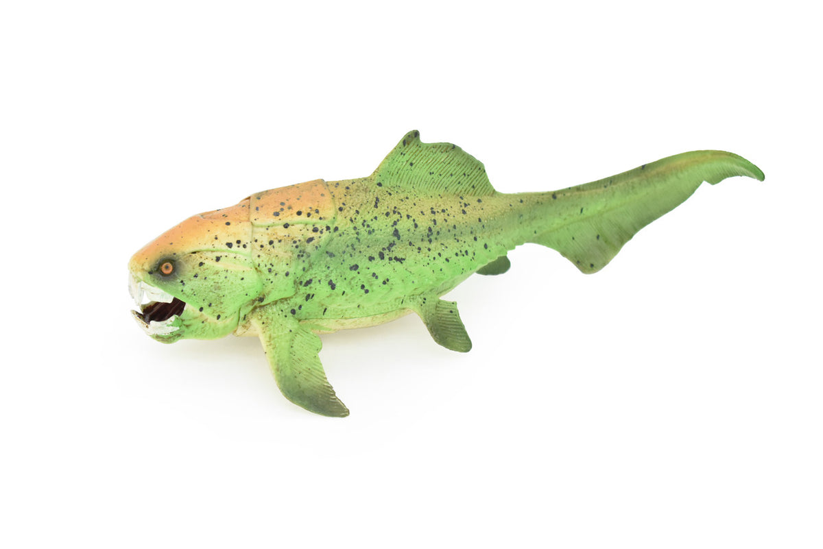 Dunkleosteus, Prehistoric Fish, Dinosaur, Museum Quality, Rubber Fish, Hand Painted, Realistic Toy Figure, Diorama Model, Kids, Educational, Gift,    8 Inches.