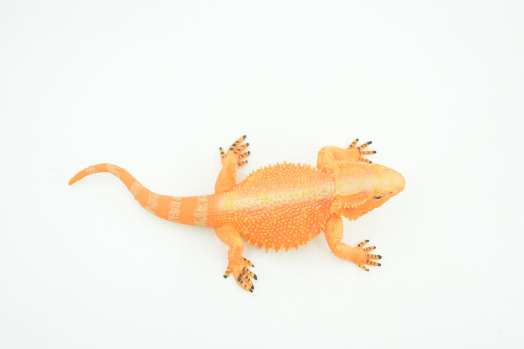Horny Toad, Horned Lizard, Museum Quality, Educational, Hand Painted, Rubber Reptile, Diorama, Toy, Kids, Gift,  5 Inches.  CH753 BB183