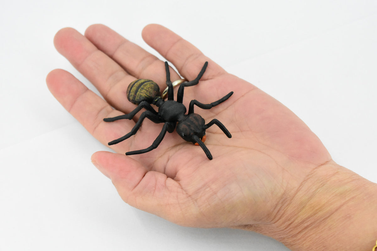 Black Ant, Myrmicinae, Museum Quality, Educational, Hand Painted, Rubber Insect, Realistic Toy Figure, Diorama Model, Kids,  3 Inches.
