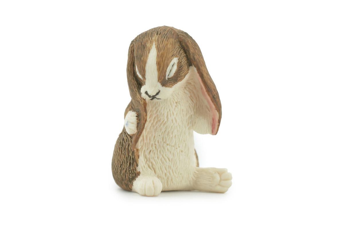 Rabbit, Lop Ear, Floppy Eared rabbit, Museum Quality, Hand Painted, Realistic, Rubber, Animal, Figure, Model, Toy, Kids, Educational, Gift,      2 1/2"      CH677 BB171