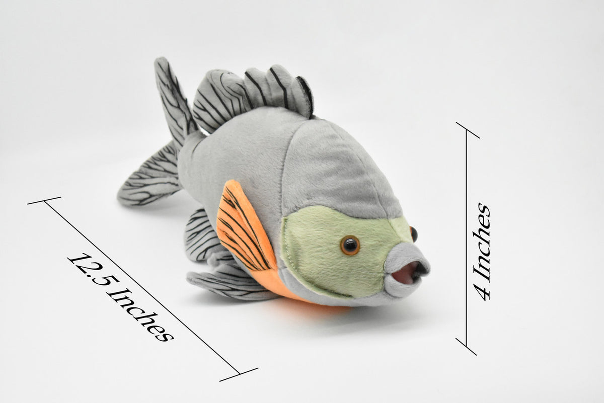 Bluegill ,Sunfish, Bream, Very Nice Plush Fish, Stuffed Animal, Educational, Toy, Kids, Realistic Figure, Gift,     12 1/2"