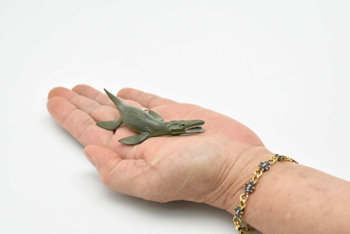 Liopleurodon Toy, Plesiosaur, Extinct Marine Reptile, Realistic Dinosaur Plastic  3 1/4"    F4167 B374