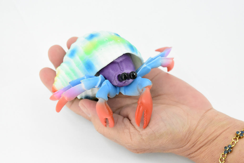 Hermit Crab. Crustaceans, Museum Quality Rubber Figure, Model, Educational, Animal, Hand Painted, Figurines, Gift,           6"             CH160 BB110