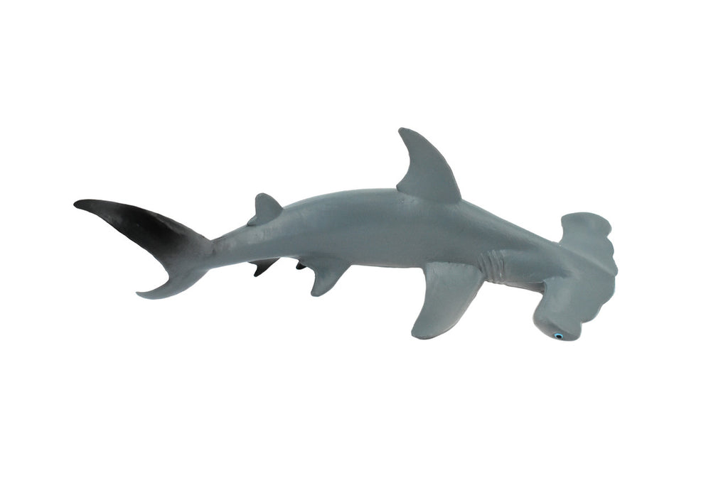 Hammerhead Shark, Museum Quality, Educational, Rubber Fish, Hand Painted, Realistic Toy Figure, Diorama Model, Kids, Educational, 7 Inches. 