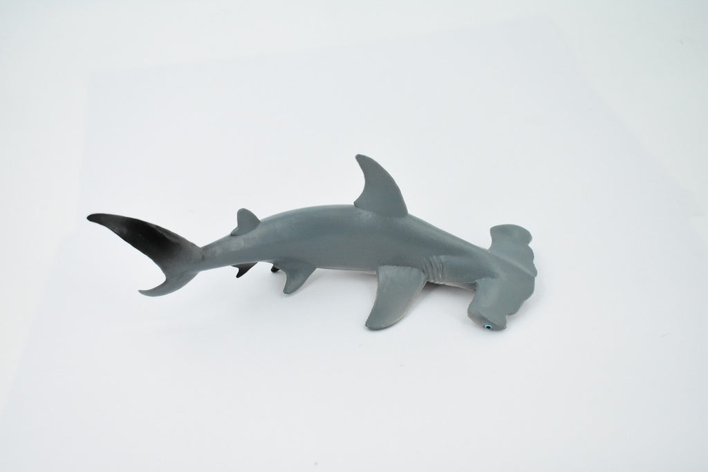 Hammerhead Shark, Museum Quality, Educational, Rubber Fish, Hand Painted, Realistic Toy Figure, Diorama Model, Kids, Educational, 7 Inches. 