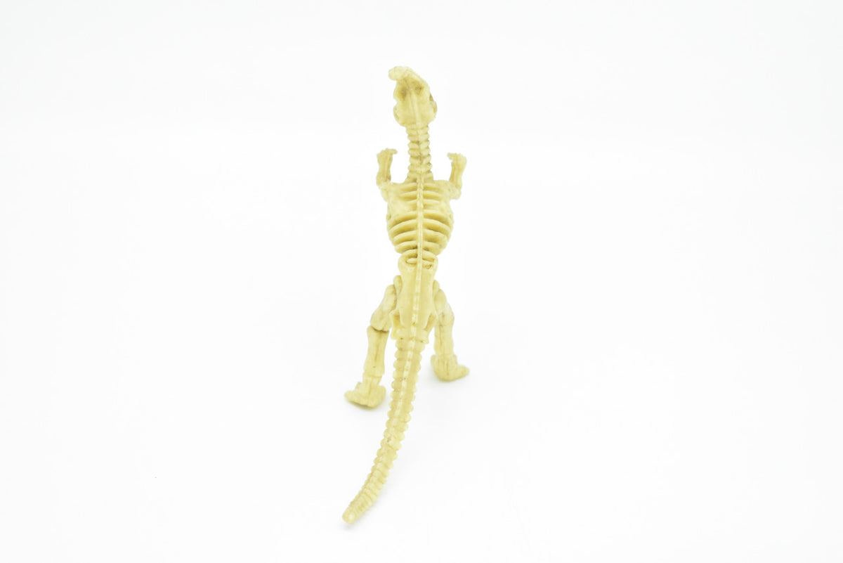 Parasaurolophus Dinosaur, Skeleton, Very Nice Plastic Replica    6"     F3283 B61
