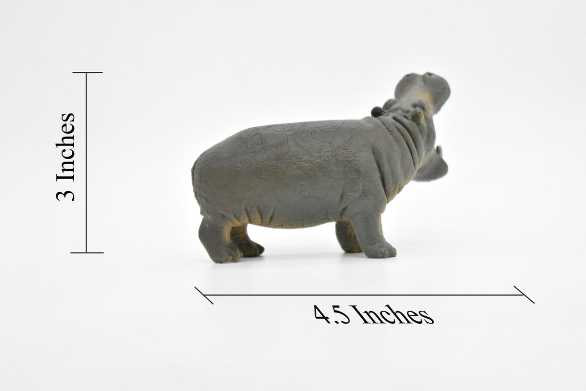 Hippo, Hippopotamus, Museum Quality, Hand Painted, Educational, Rubber Animal, Realistic Toy Figure, Diorama Model, Kids,  4.5 Inches. 